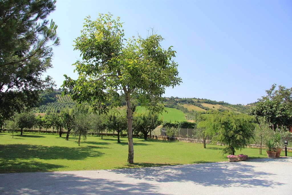 Poggio Berni B&B Valmarecchia מראה חיצוני תמונה